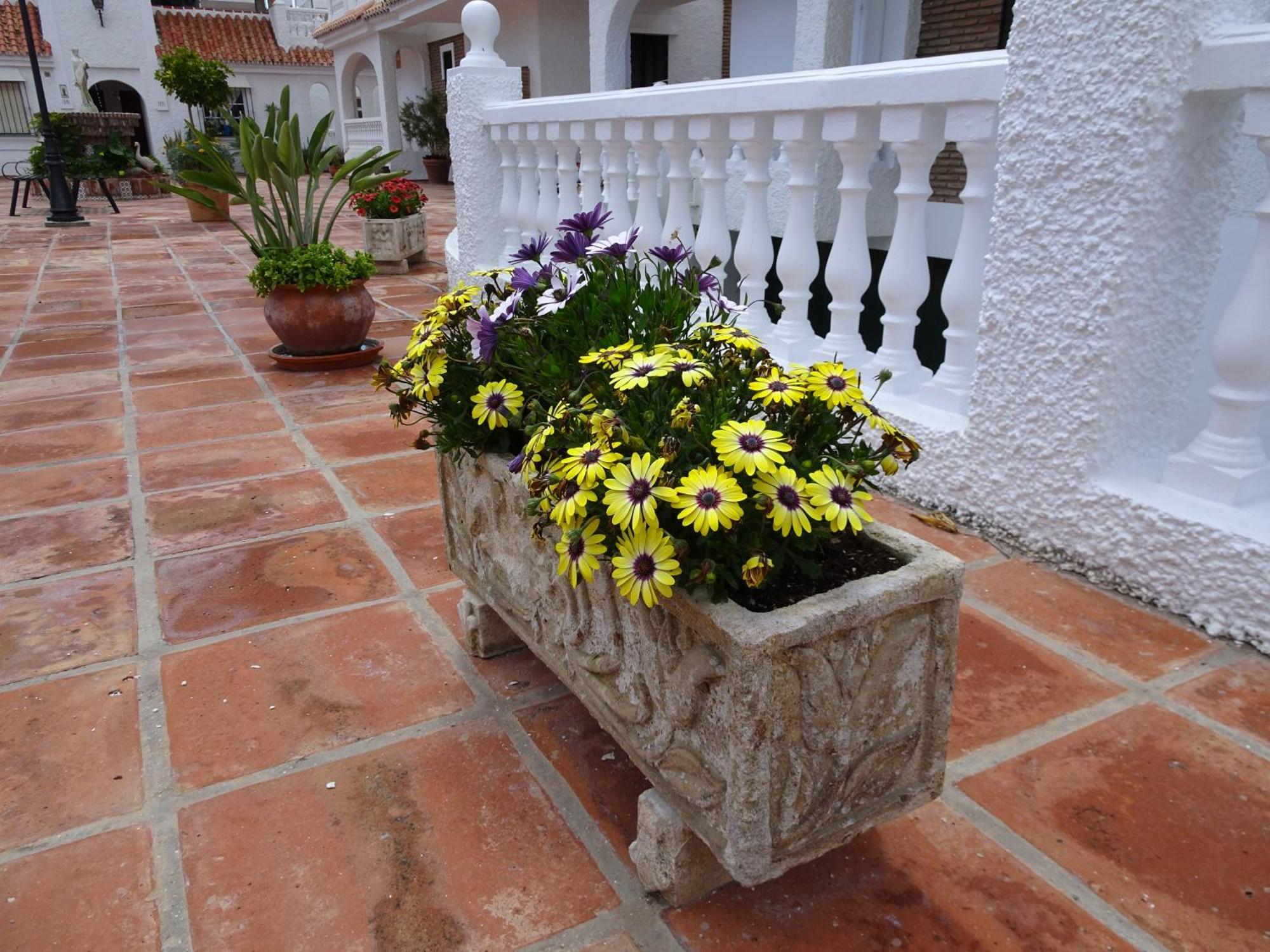 Encantador Atico Cerca Del Mar Algarrobo Costa Ngoại thất bức ảnh